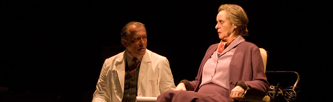 el-diccionario-banner